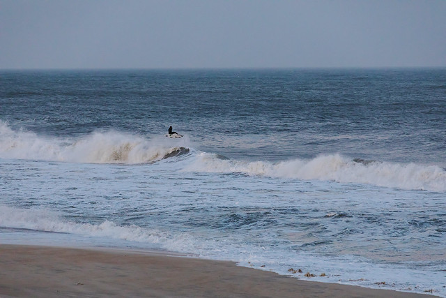 OBX Surf-Feb17-Round1-12mini