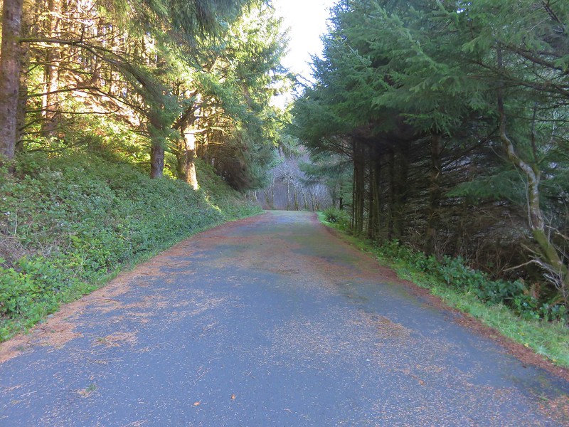 Road to Rock Creek Campground