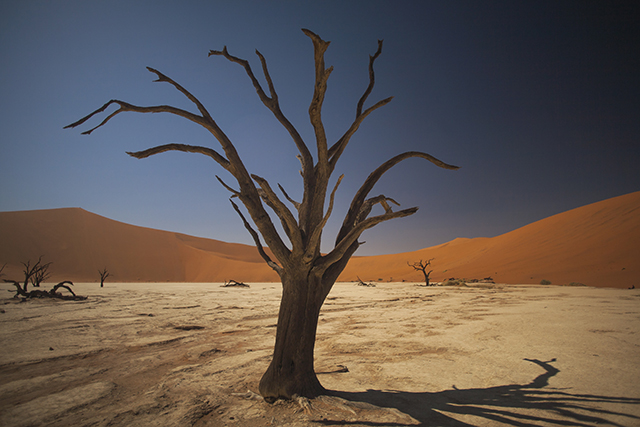 Desierto del Namib - NAMIBIA & KRUGER por libre: 21 días Very WILD (23)