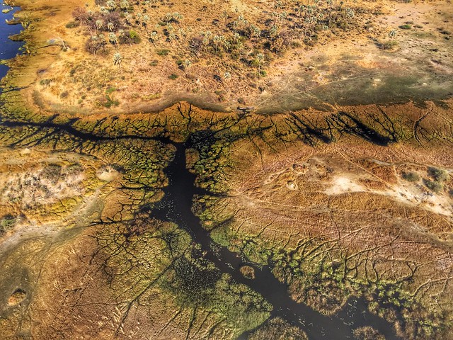 El delta del Okavango desde el aire (avioneta en Botswana)