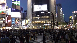 Día 15: Paseos libres por Tokyo y alguna compra - Luna de Miel por libre en Japon Octubre 2015 (14)