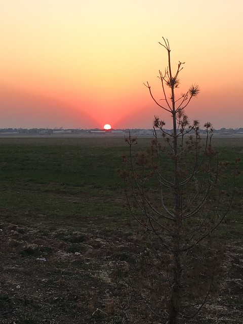 Sunset in Amarillo