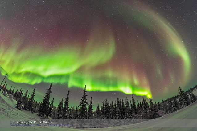 Auroral Arcs over Boreal Forest #2