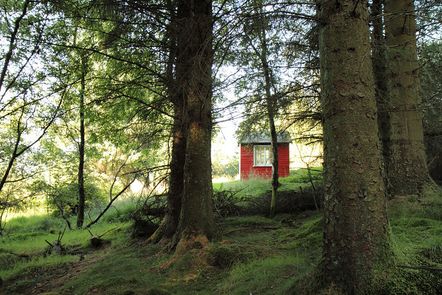 Woodland cabin