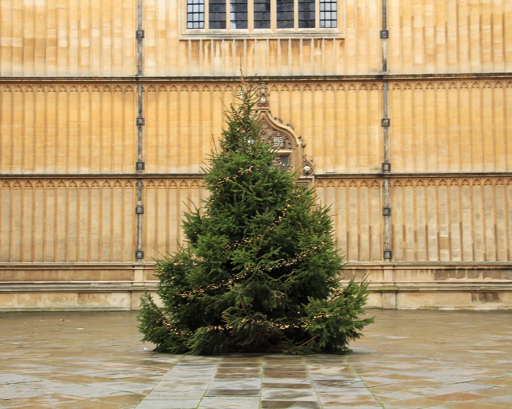 Christmas tree at Bodleian Library, University of Oxford