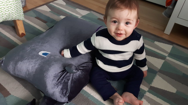 Whale Floor Cushion 39