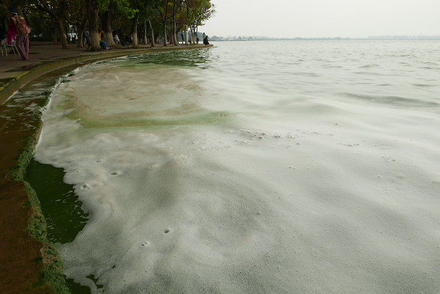 面對滇池污染嚴重，中國政府欲從金沙江引水稀釋，此「滇中引水工程」自今年6月動工。
