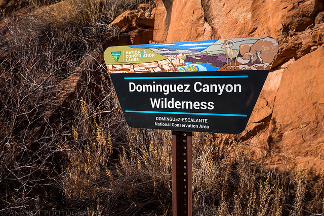 Dominguez Canyon Wilderness Sign