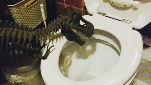 Rex musste noch lernen, nicht aus der Toilette zu trinken.