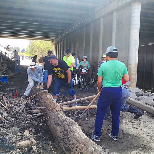 Volunteers clear the Guadalupe River Trail under Montague Expressway.