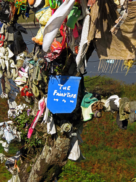 We found a 'Fairy Tree' on Killary Harbour Drive in Ireland