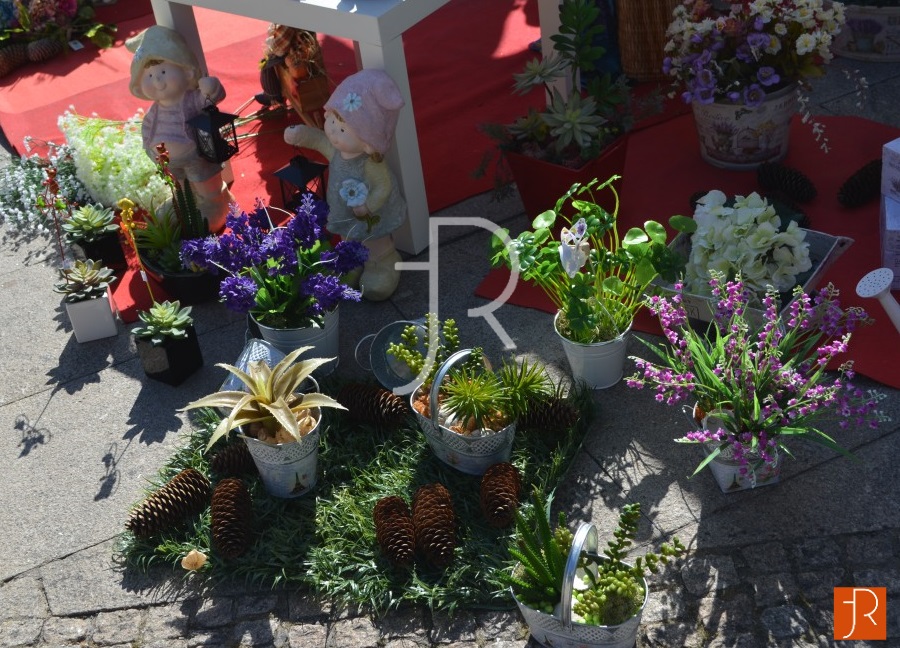 "Festa Flores e Sabores" em Penafiel - maio 2015