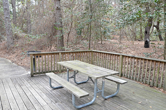 Step right outside the kitchen door to the picnic table with grill on the deck of cabin 9 First Landing State Park, Va