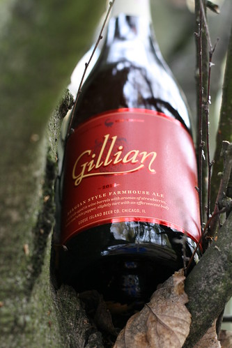 Yes, that's a bottle of Gillian on top of some leaves in the crook of a tree.