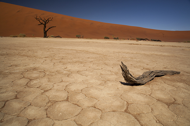 Desierto del Namib - NAMIBIA & KRUGER por libre: 21 días Very WILD (19)