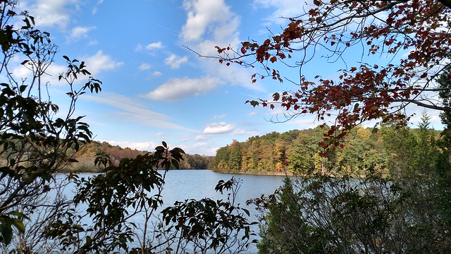 A visit to Lake Anna State Park in the fall is a real treat