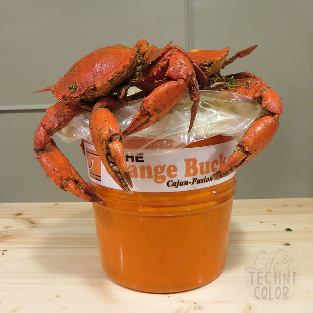 The Orange Bucket