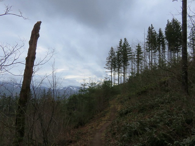 Bells Mountain Trail