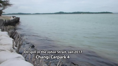 Oil spill in the Johor Strait (5 Jan 2017) from Changi Carpark 4