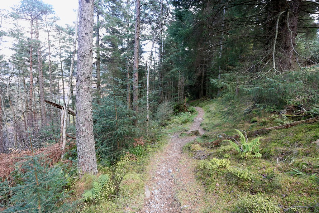 Woodland Path, Stank Glen