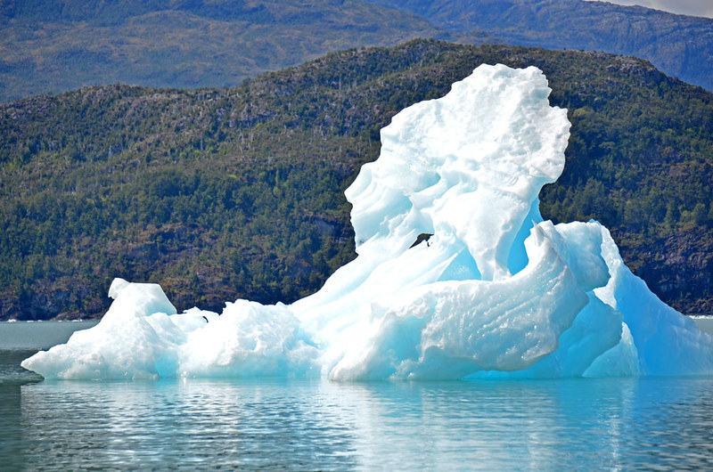 Iceberg in the southern Patagonian ice fields