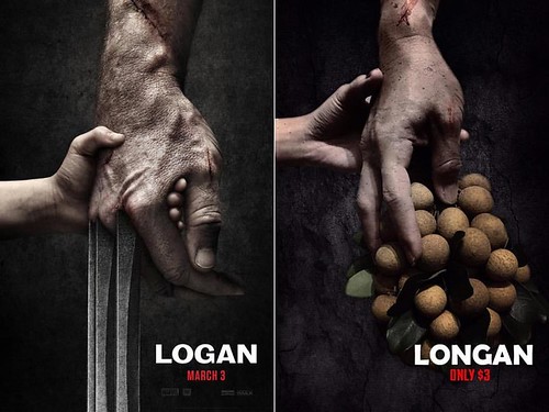 LOGAN vs Longan