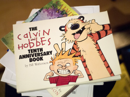 Buy the The Calvin and Hobbes Tenth Anniversary Book