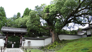 Kyoto - Templo de Plata y más - JAPÓN EN 15 DIAS, en viaje economico, viendo lo maximo. (20)