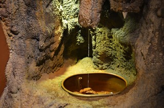 Grottoneum