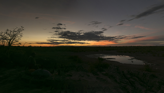NAMIBIA & KRUGER por libre: 21 días Very WILD - Blogs de Africa Sur - Parque Nacional ETOSHA (32)