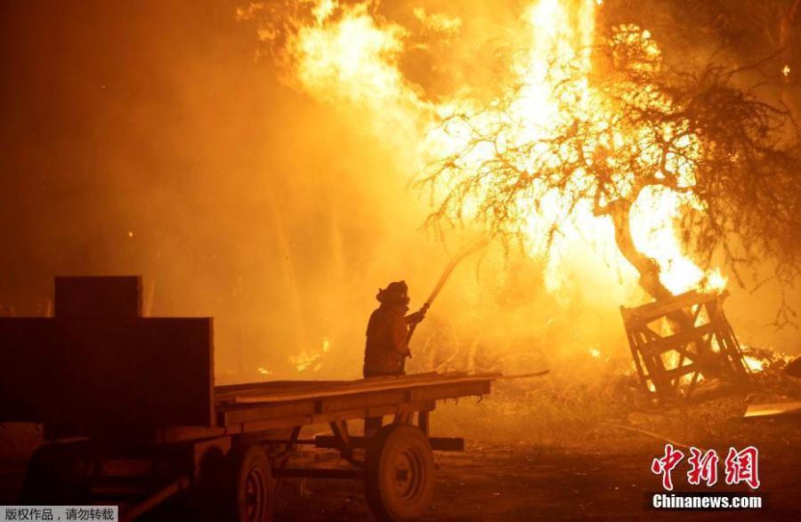 Chile fire 11 dead, over an area of more than 360,000 hectares