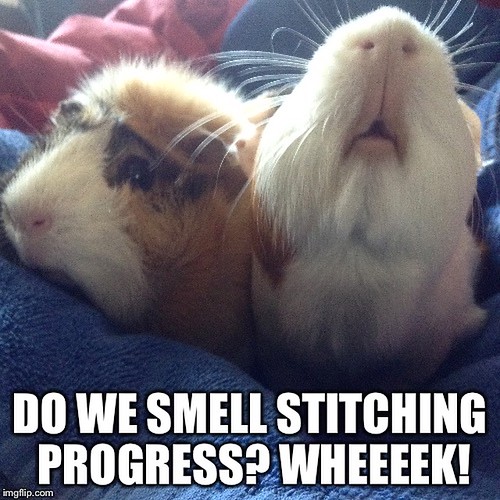 do we smell stitching progress? wheeek!