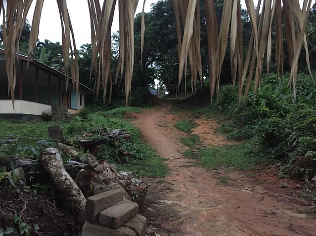 Village entrance along the Pikien River visiting a master wood carver, historian, and farmer, guided by the son of another master carver. My botanical subsistence foodstuffs project took a leap forward as I spent time socializing over meals and humble dai