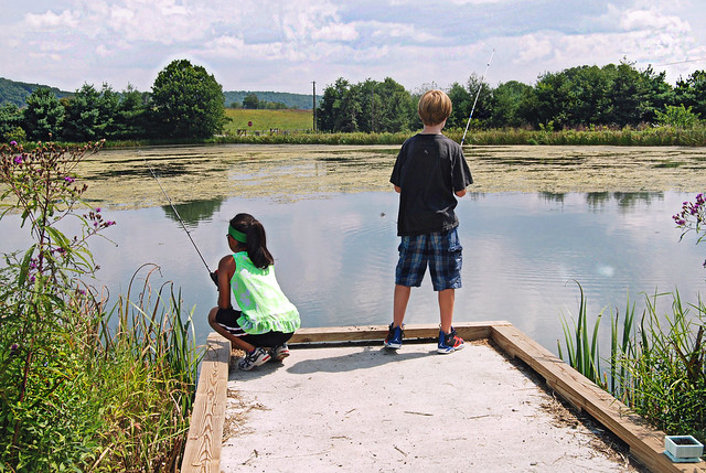 The park's 3.5-acre Turner Pond has fishing piers and picnic tables. Visitors with a valid Virginia fishing license may fish for bass, bluegill and catfish. Fishing regulations apply, at Sky Meadows State Park, Va