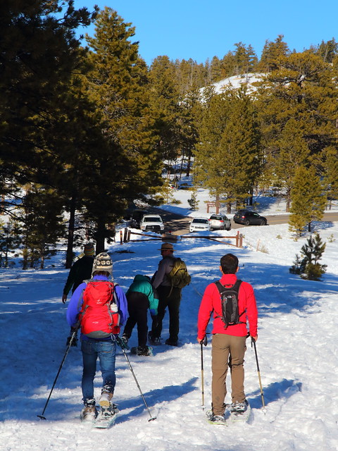 IMG_9252 Ranger-Led Snowshoe Walk