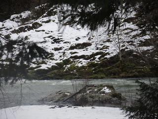 Snowy River bank