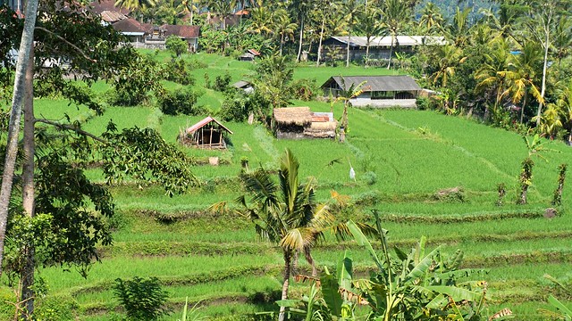 Kinh nghiá»m du lá»ch Bali