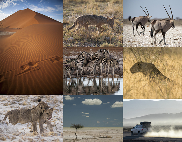 Desierto del Namib - NAMIBIA & KRUGER por libre: 21 días Very WILD (39)