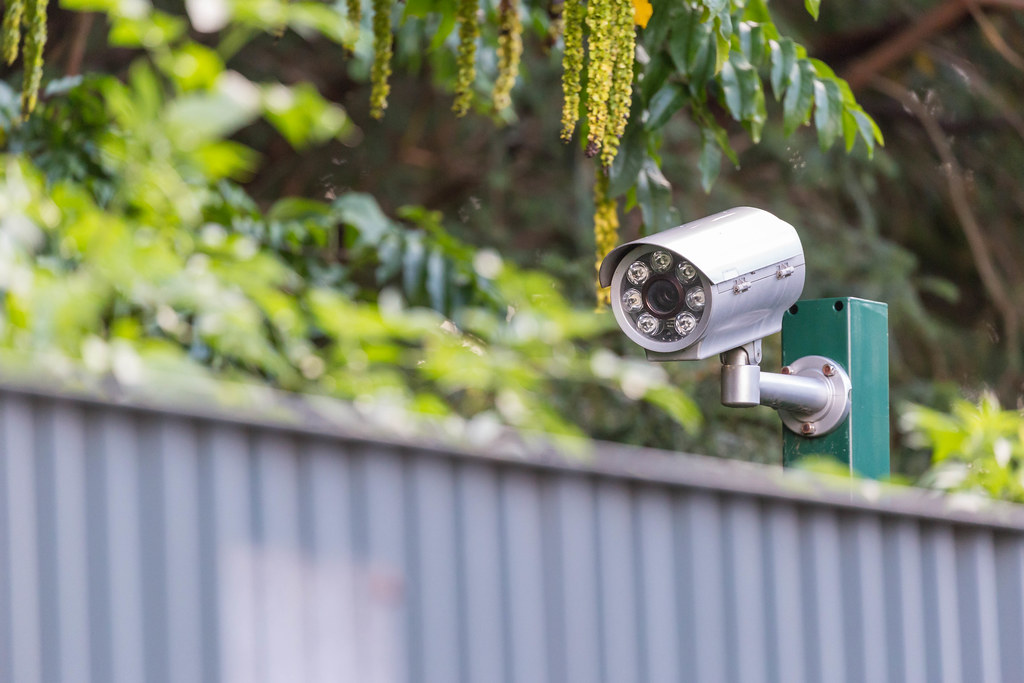 Fence surveillance camera.