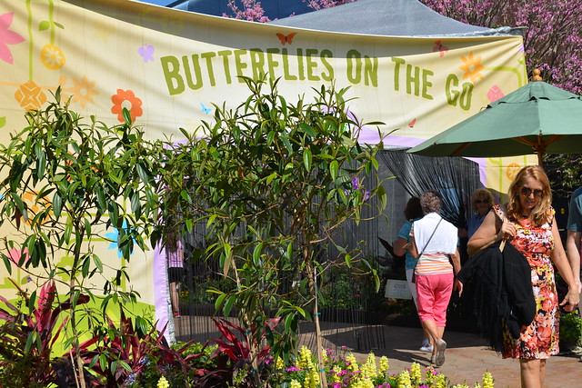 Epcot Flower and Garden Festival Butterfly Garden