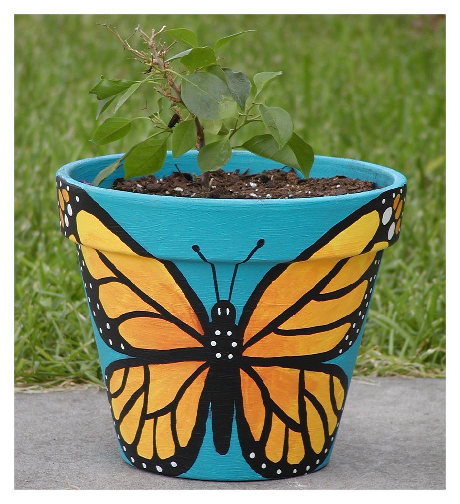 Butterfly Pot  I painted  this pot  for the bougainvillea 