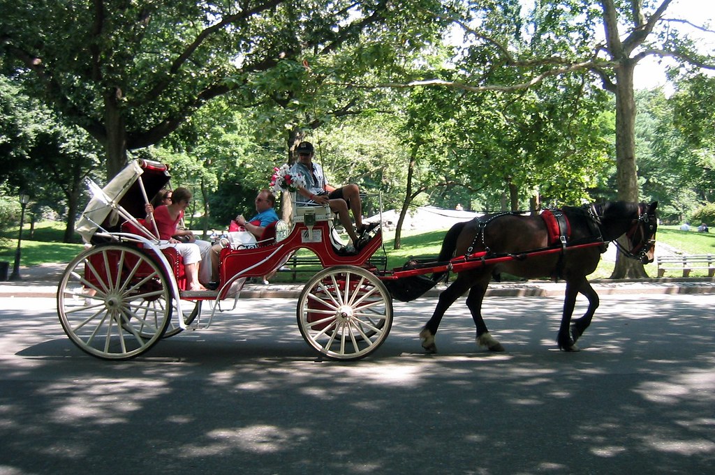 NYC - Central Park: Horse drawn carriage | A horse-drawn ...