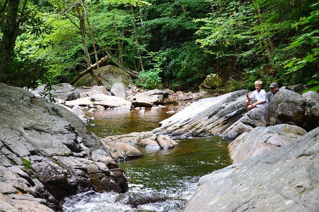 Fly Fishing on Wilson Creek at Grayson Highlands State Park in Virginia