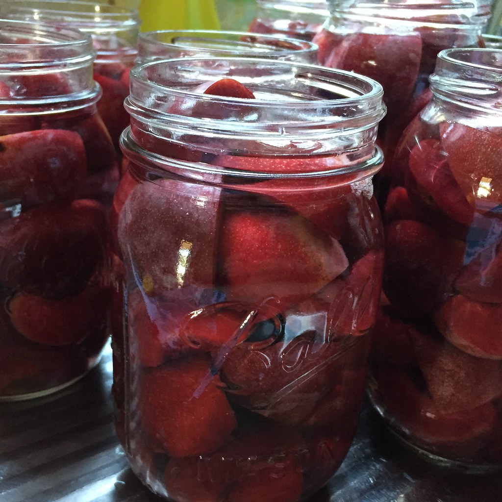plums from the tree, preserved in jars for winter.