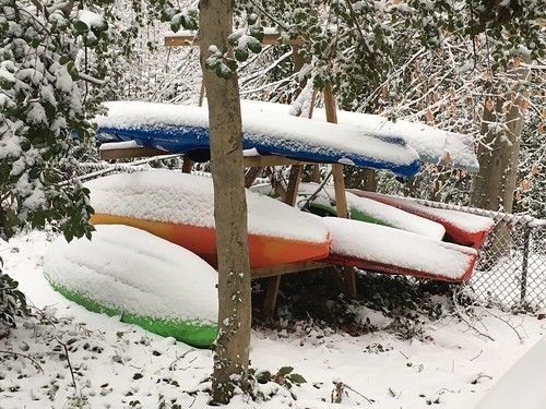 Snow-covered kayaks