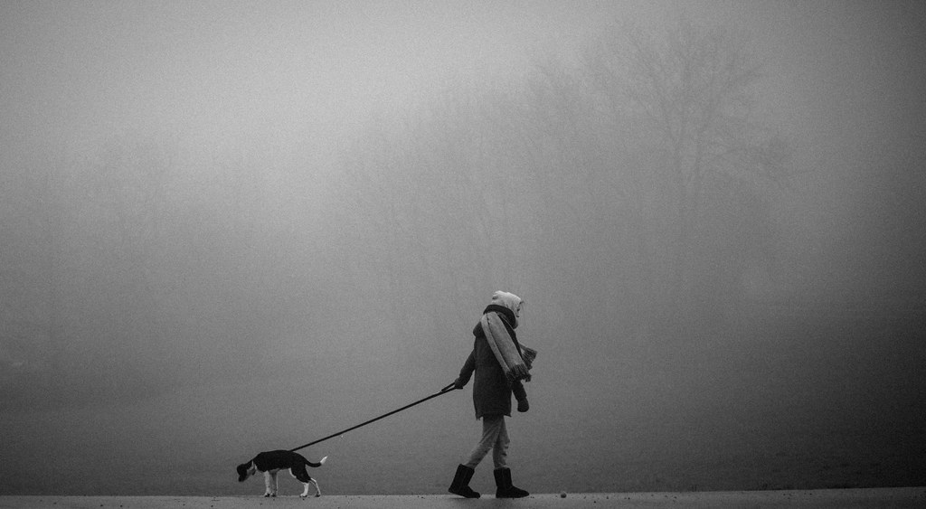 Image result for walking in fog