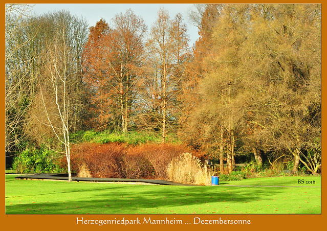 27. Dezember 2016 ... Gartenreisen ... Winterlicher Herzogenriedpark Mannheim ... Pflanzen, Tiere, Parklandschaft, Kunst ... Fotos und Collagen: Brigitte Stolle,  Mannheim