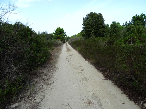 La piste parallèle à la plage de l'étang Del Sale au retour du pénitencier de Casabianda