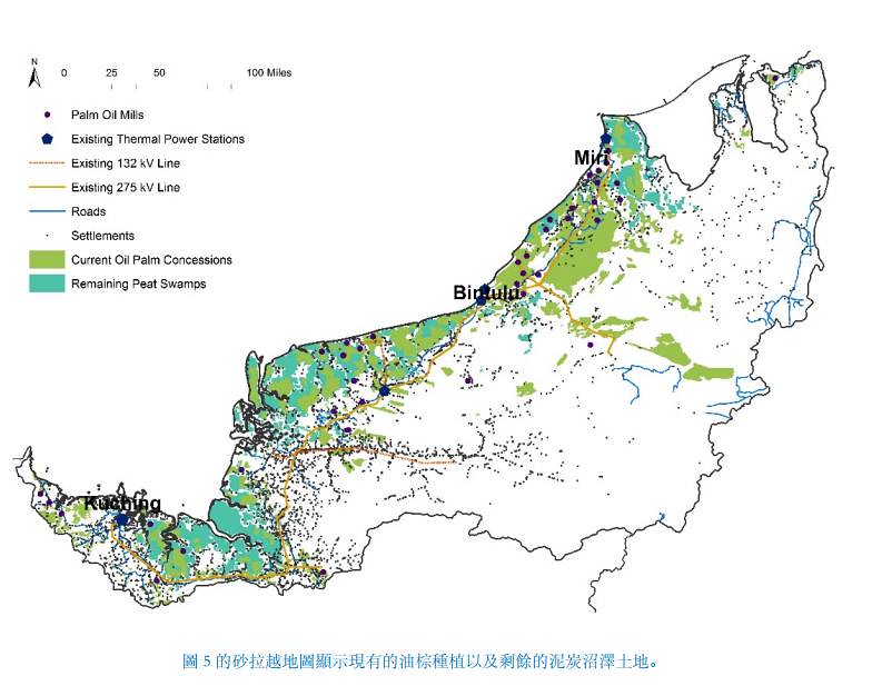 砂勞越現有的油棕種植面積，以及剩餘的泥炭沼澤地面積。圖片來源：《馬來西亞婆羅洲的能源規劃與發展：分佈式科技對比大型能源項目的益處評估》報告。