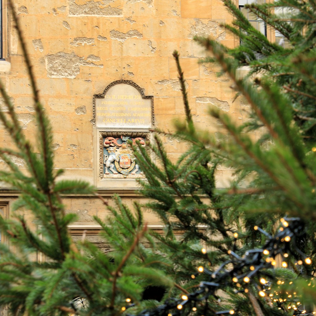 Christmas tree at Bodleian Library, University of Oxford